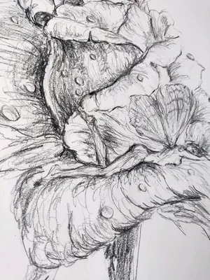 Волк карандашом на бумаге, рисунок …» — создано в Шедевруме