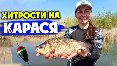 Рыбалка на карася летом на поплавочную удочку | AZOR-FISH.RU