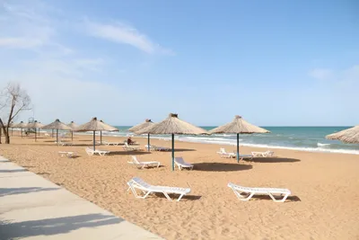 Променяют ли туристы Черное море на Каспийское в летнем сезоне | Ассоциация  Туроператоров