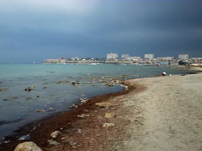 Каспийское море: где находится, описание, история