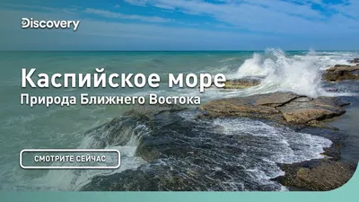 Гид по курортам Каспийского моря: пляжи Дагестана и Калмыкии - Телеканал  Поехали!