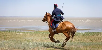 Купить стенд «Символы, традиции и обычаи казаков» за ✓ 1850 руб.