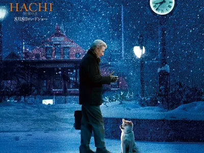 Фильм «Хатико: Самый верный друг» / Hachiko: A Dog's Story (2009) —  трейлеры, дата выхода | КГ-Портал