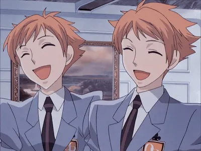 hitachiin hikaru and hitachiin kaoru (ouran high school host club) drawn by  minaramuda | Danbooru