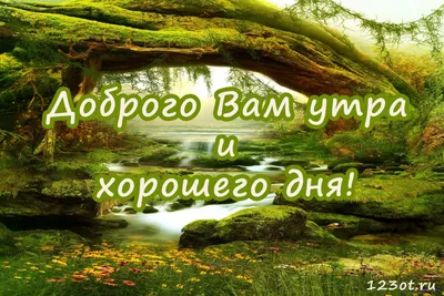 Прикольные картинки удачного дня! картинки хорошего рабочего дня