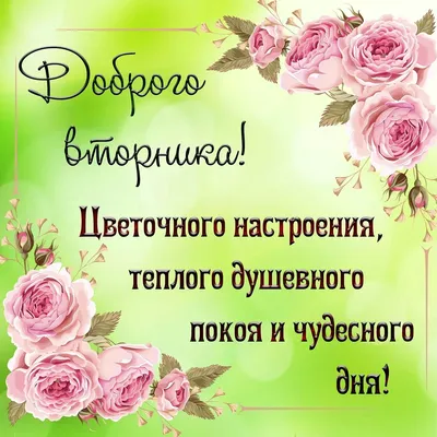 Доброе утро! Хорошего вторника 🌸 | Открытки Тедди | ВКонтакте