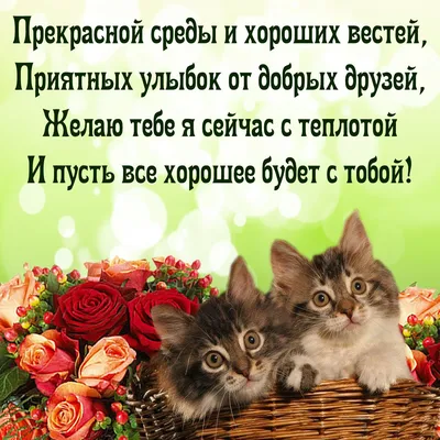 Открытки - Успешной среды! 🌻⚘🌻⚘🌻⚘🌻⚘🌻⚘ Доброе утро, хорошей среды,  Светлых улыбок и в сердце огня, Теплых объятий, удачи в делах. Крыльям  успеха — широкий размах! Счастья, добра вам, любимым, в сей день!