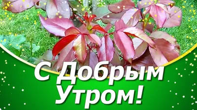 Открытки - Успешной среды! | Facebook