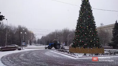 Хоровод вокруг елки в Подольске водил одинокий трактор - МК Московская  область