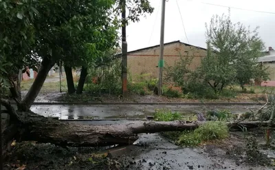 На кухне должна быть одна хозяйка. Убедилась в этом после 2 лет жизни со  свекровью | Дом по-женски | Дзен