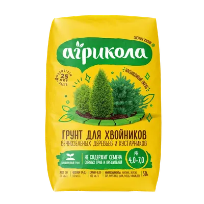 Комплект хвойных растений Для Рокария 1 🌲 купить с доставкой курьером,  почтой, самовывоз в 52 городах, цены и фото