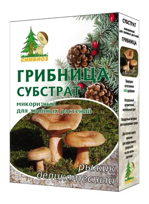 Питомник хвойных растений - 3 композиции в одном посте. Это ли не счастье  для любого увлеченного садовода? 😍 ⠀ Все растения, которые указаны на фото  будут доступны весной в нашем питомнике. Вы