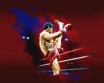 боксер бьет боксерскую грушу на черном фоне Фото И картинка для бесплатной  загрузки - Pngtree