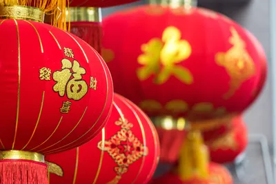 Новый год по лунному календарю 2024 | Китайский Новый год — животные | Год  Дракона | Star Walk