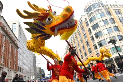 Фестиваль «Китайский Новый год – веселый праздник весны-2019»