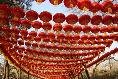 Китайский Новый год 2022 - история, традиции и запреты праздника | OBOZ.UA