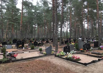 Что происходит у могилы Пригожина на Пороховском кладбище, как добраться