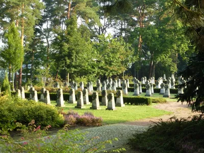 Загорновское кладбище: адрес, режим работы, схема проезда