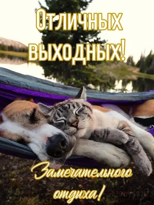 Отличных выходных! | Выходные, Открытки, Доброе утро