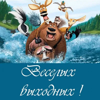 Желаем хороших выходных нашим читателям! - Лента новостей Запорожья