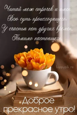 😔Почему у меня нет новогоднего настроения? 🍪 Новогодние праздники —  прекрасная возможность для отдыха, радости и ярких эмоций. 😔 Но… |  Instagram