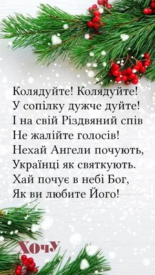 С песнями, забавами и угощениями отпраздновали жители и гости Витебска  колядки