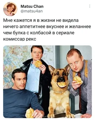 Встречайте актеров сериала Комиссар Рекс на сегодняшний день: что они  делают сейчас и как изменилась их жизнь За гранью славы на  welcomevolunteer.ru