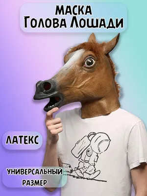 Роль коня в казахской культуре