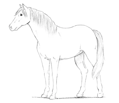 Маска карнавальная Голова лошади коня - купить по доступным ценам в  интернет-магазине OZON (533183842)