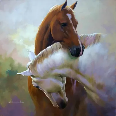 Красивый портрет лошади-коня на гребне Стоковое Фото - изображение  насчитывающей выгон, грива: 161268002