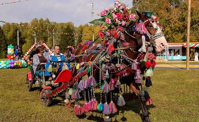 Петербург встретит «День Коня». Участников и зрителей ждет поистине  уникальный турнир - Федерация конного спорта Санкт-Петербурга