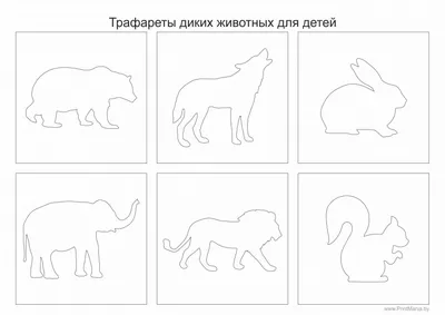 [57+] Картинки контуры животных обои