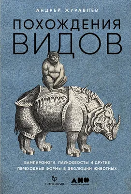 Раскраска контуры вырезания. Контуры и шаблоны животных для вырезания  раскрашивания или аппликации