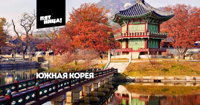 ТОП-20 самых необычных фактов о Южной Кореи, о которых вы вряд ли знали! |  Интересное об интересном | Дзен