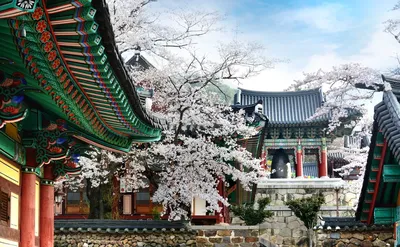 Южная Корея: путешествие в стиле ханок, или чем страна может удивить  российского туриста – Ratanews.ru