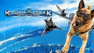 Кошки против собак 3: Лапы, объединяйтесь (2020) — Фильм.ру