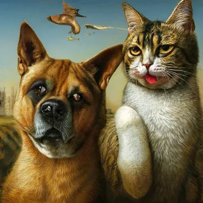 Кошки против собак: кто умнее? – Новости Новороссийска