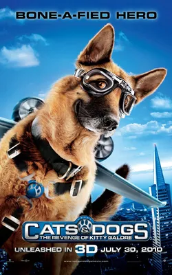 Фильм «Кошки против собак: Месть Китти Галор» в кинотеатрах Хабаровска.  Купить билеты!