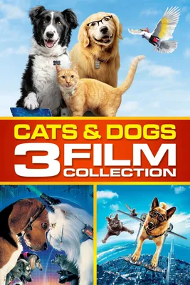 Фотографии, постеры и кадры из фильма Кошки против собак: Месть Китти Галор.
