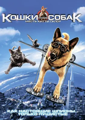 Кошки против собак (фильм, 2001) смотреть онлайн в хорошем качестве HD  (720) / Full HD (1080)