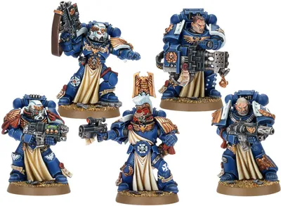 Миниатюры Warhammer 40000: Стойкие Ветераны Космодесанта (Space Marine  Sternguard Veteran Squad) НОВАЯ ВЕРСИЯ купить в магазине настольных игр  Cardplace