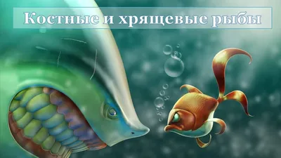 Плавательный пузырь – EGEBIO.RU БИОЛОГИЯ ЕГЭ| Елена Шишловская