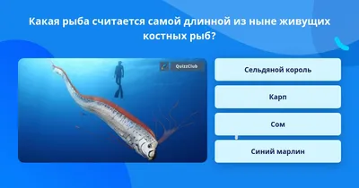 PPT - Давайте вспомним . . . PowerPoint Presentation, free download -  ID:5075051