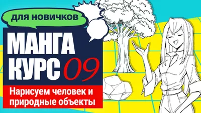 оказывается, много цветов, которые можно есть | Новини на сайті  slavutych.info