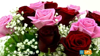 Новости - Внимание конкурс! Дарим цветы на 8 марта