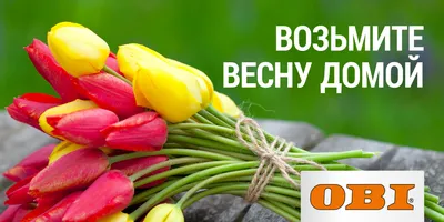Букет по цене до 1000 рублей на 8 марта | купить недорого с доставкой на  Roza4u.ru