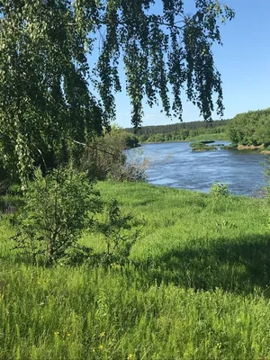 Красоты родной природы | Пикабу