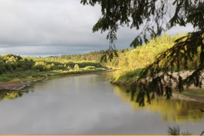 Красота родной природы» (12 фото). Воспитателям детских садов, школьным  учителям и педагогам - Маам.ру