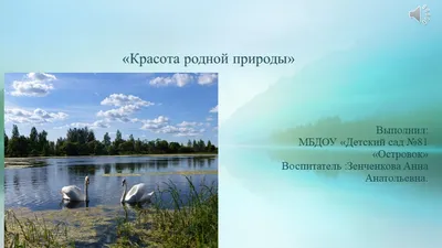 О красоте родной природы, водных обитателях, и не только | ЗНАМЯ ОКТЯБРЯ -  Новостной сайт Добровского района