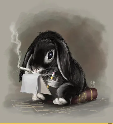 красивые картинки :: кролик :: Прикольные картинки :: art (арт) / картинки,  гифки, прикольные комиксы, интересные статьи по теме.